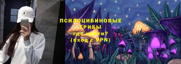 мет Абаза