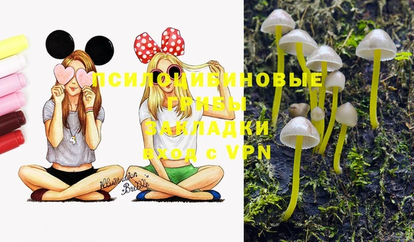 ECSTASY Абинск