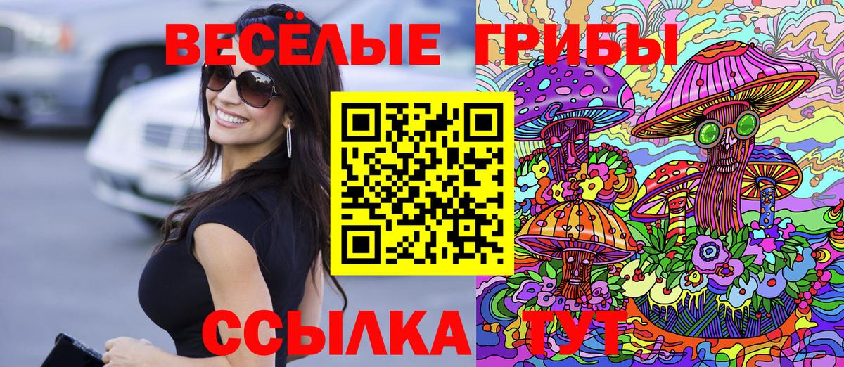 Галлюциногенные грибы Psilocybine cubensis  Псилоцибиновые грибы Psilocybe  Вход с VPN  Барнаул 